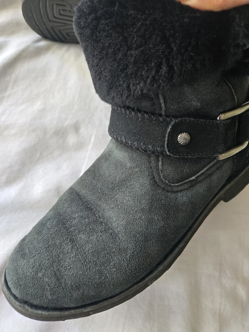 UGG brand australia